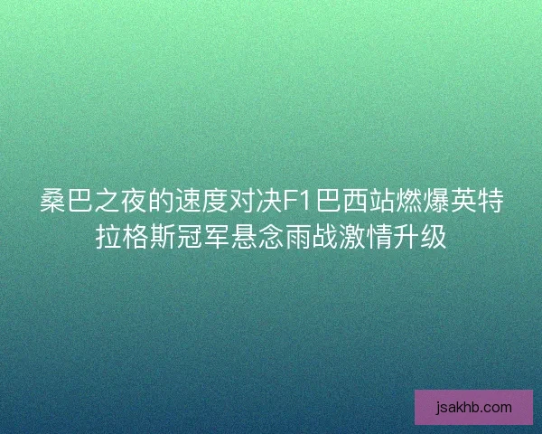 桑巴之夜的速度对决F1巴西站燃爆英特拉格斯冠军悬念雨战激情升级 桑巴之夜的速度对决F1巴西站燃爆英特拉格斯冠军悬念雨战激情升级