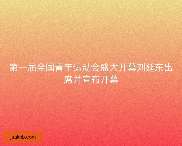 第一届全国青年运动会盛大开幕刘延东出席并宣布开幕